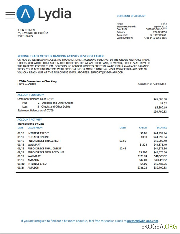 Modèle de relevé bancaire France Lydia Noir, format Word et PDF